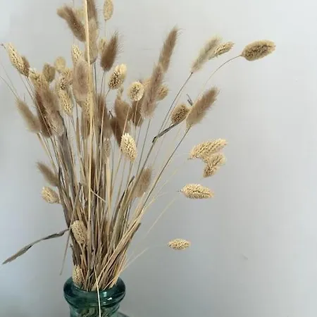 Appartamento Neuf Avec Balcon Et Parking Privé *